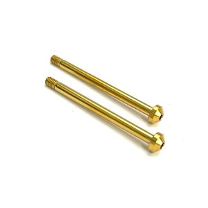 R1 Wurks - Titanium Nitride Coated rear outer hinge pin screws - pr (AE B6, T6, SC6, B74, B7 or R1 DC1)