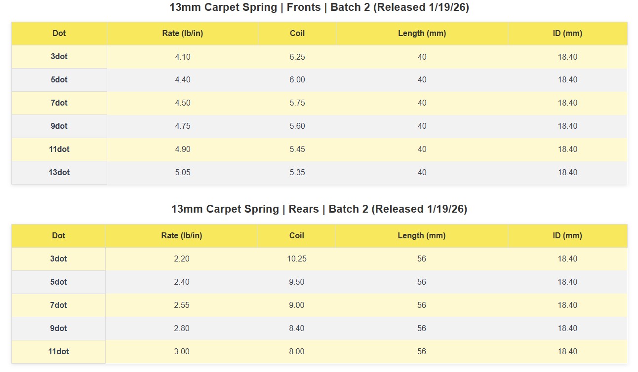 Avid 13mm precision carpet springs – front and rear (full set of 11 pairs) Updated - Image 4