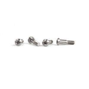 Titanium king pin screws – set of 4 (TLR 22 series)