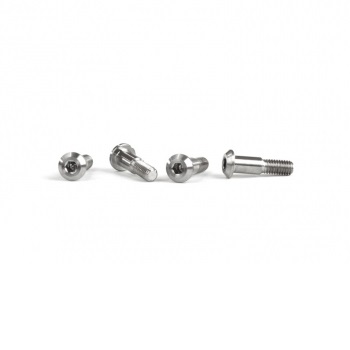 Titanium king pin screws – set of 4 (TLR 22 series)