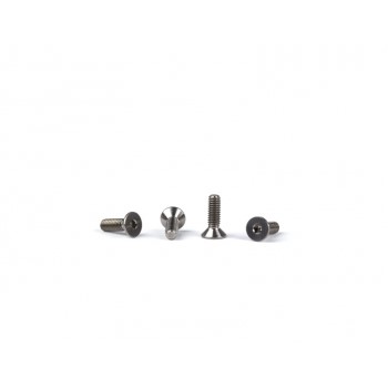 Avid titanium diff screws - 4 pcs (AE B74.1 or TLR 22X-4)