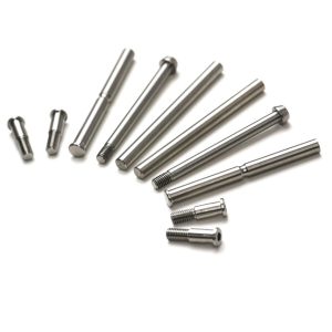 Titanium hinge pin set - 10 pcs (TLR 22 4.0 stock spec)