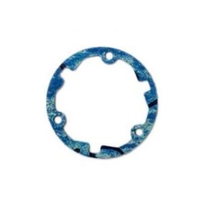 Differential oil seal (Rage R10ST)